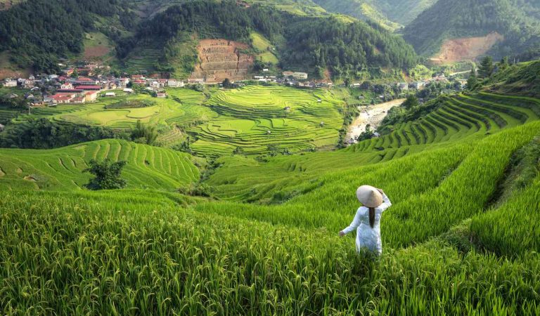 Sapa Countryside: A Picturesque Escape into Vietnam’s Rural Charm